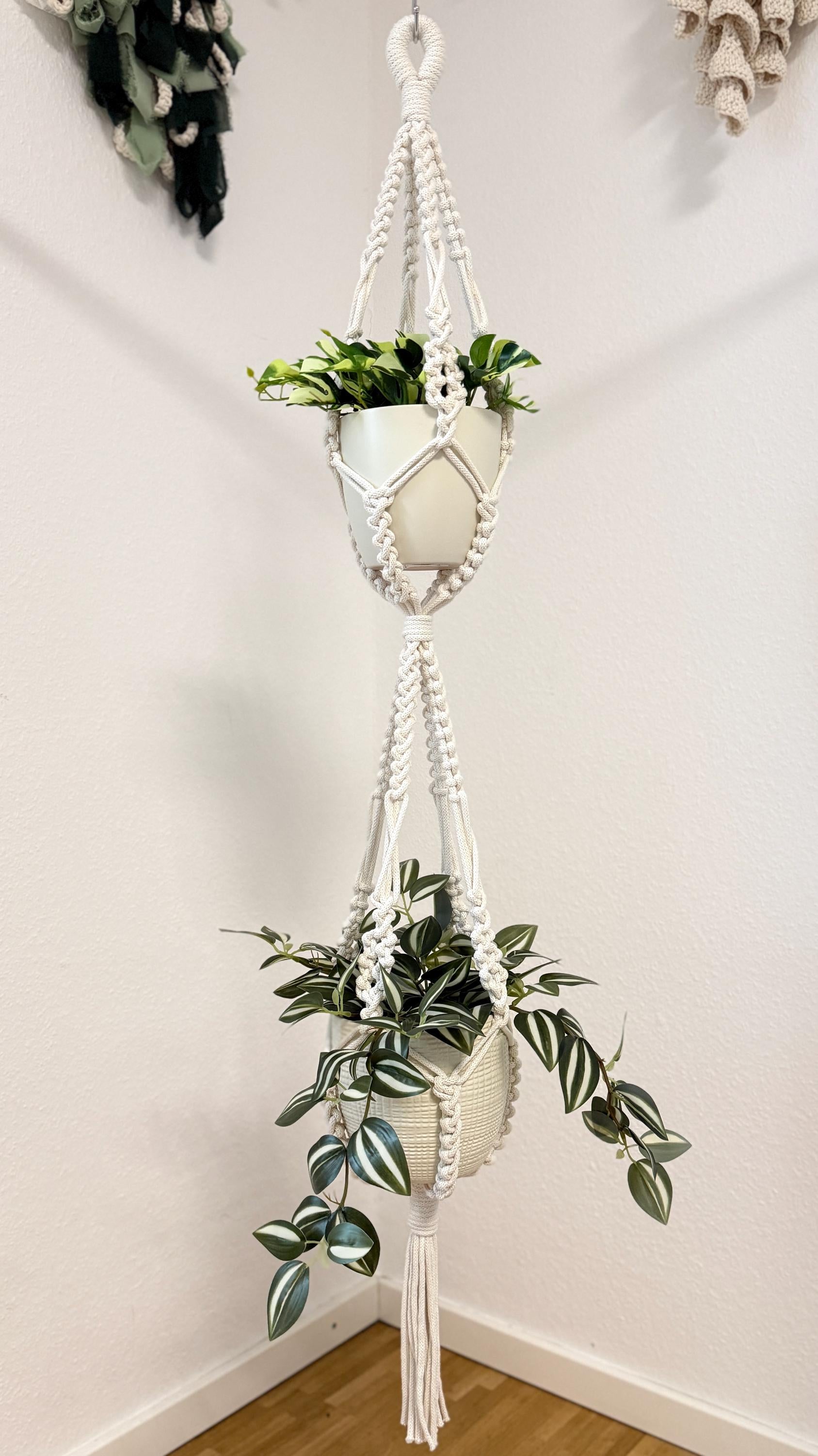 Macrame plant hanger with potted plants against a white wall
