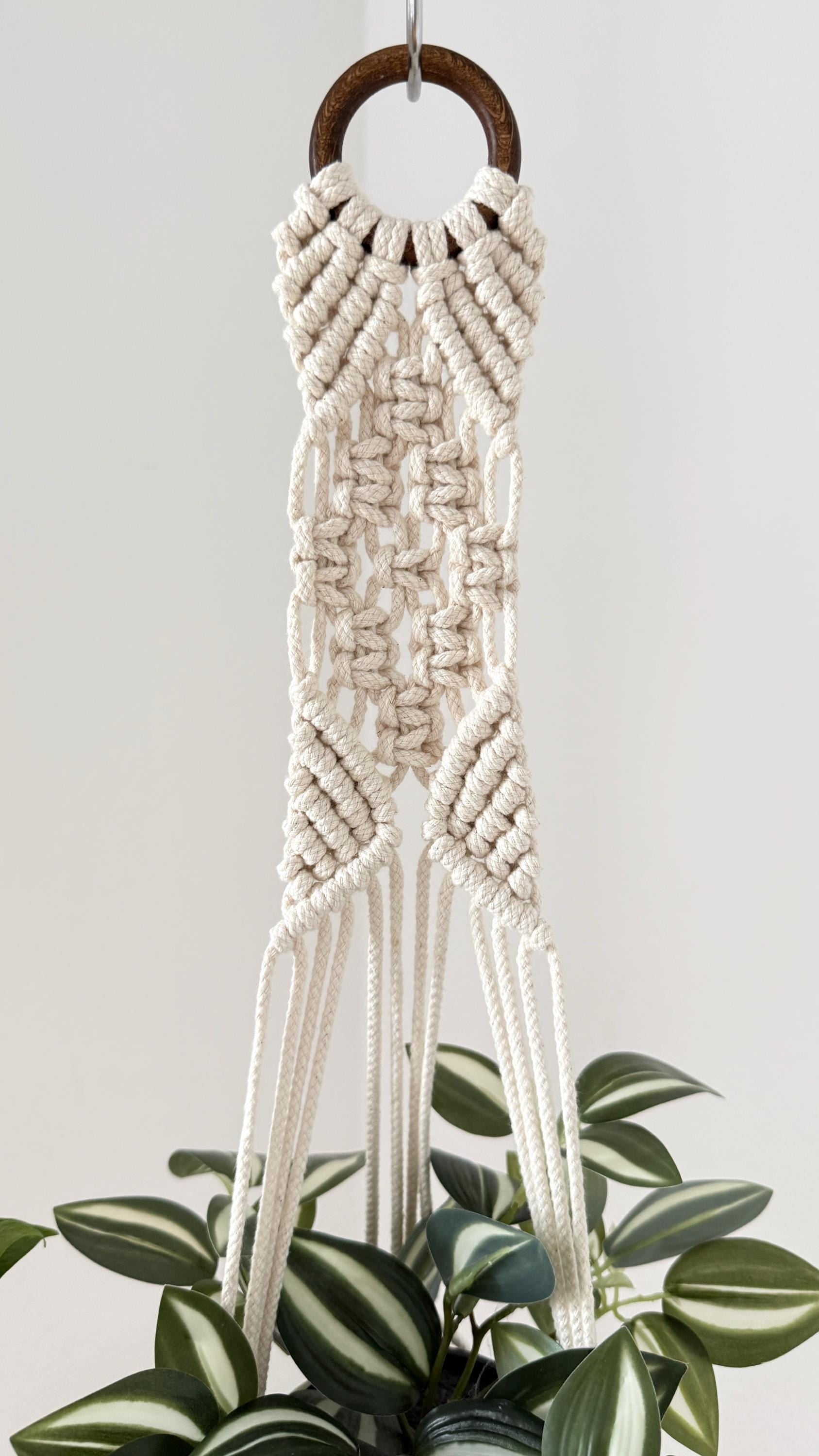 Macrame plant hanger with wooden ring and white strings against a neutral background