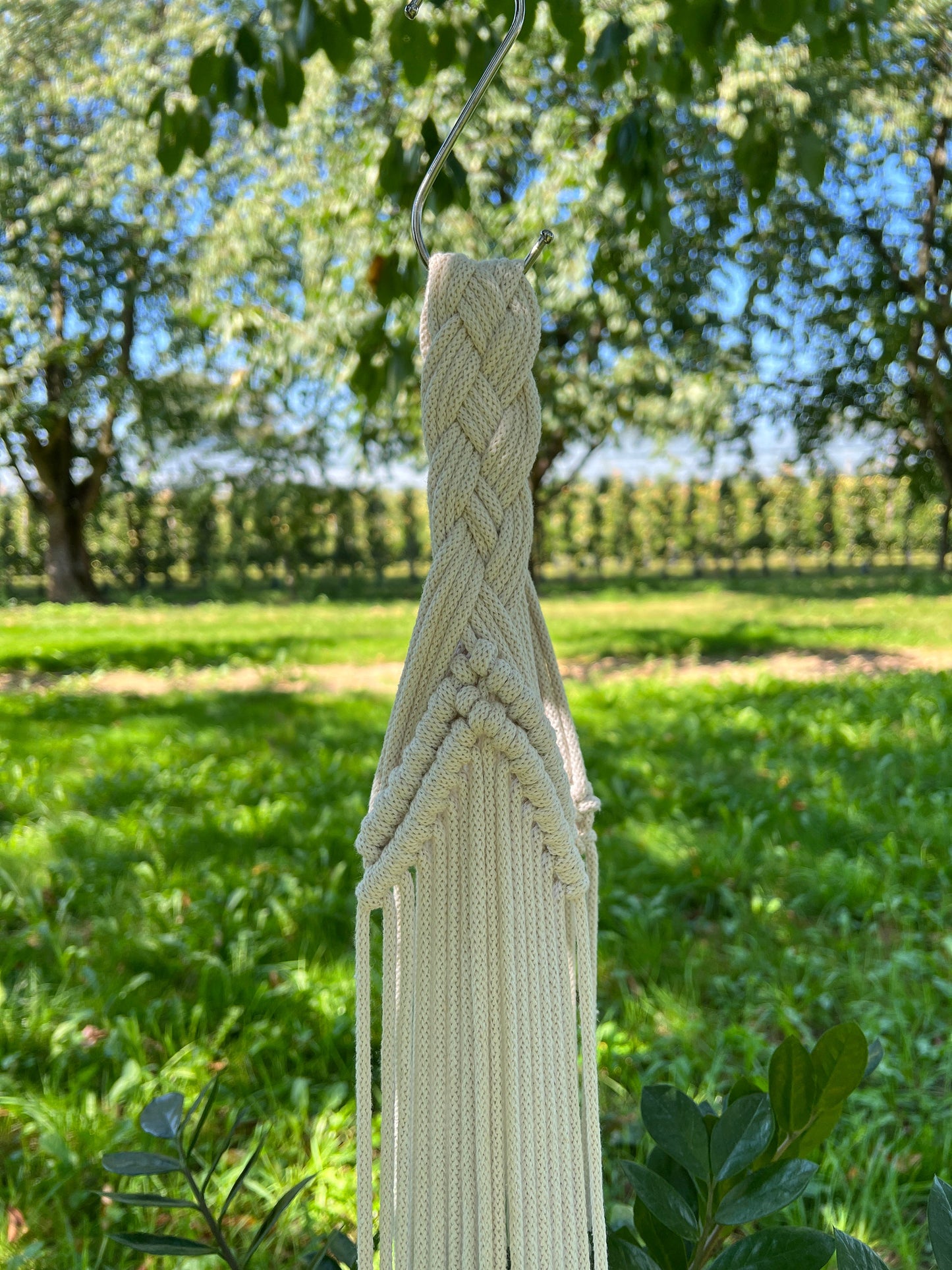 Macrame plant hanger hanging outdoors with greenery in the background