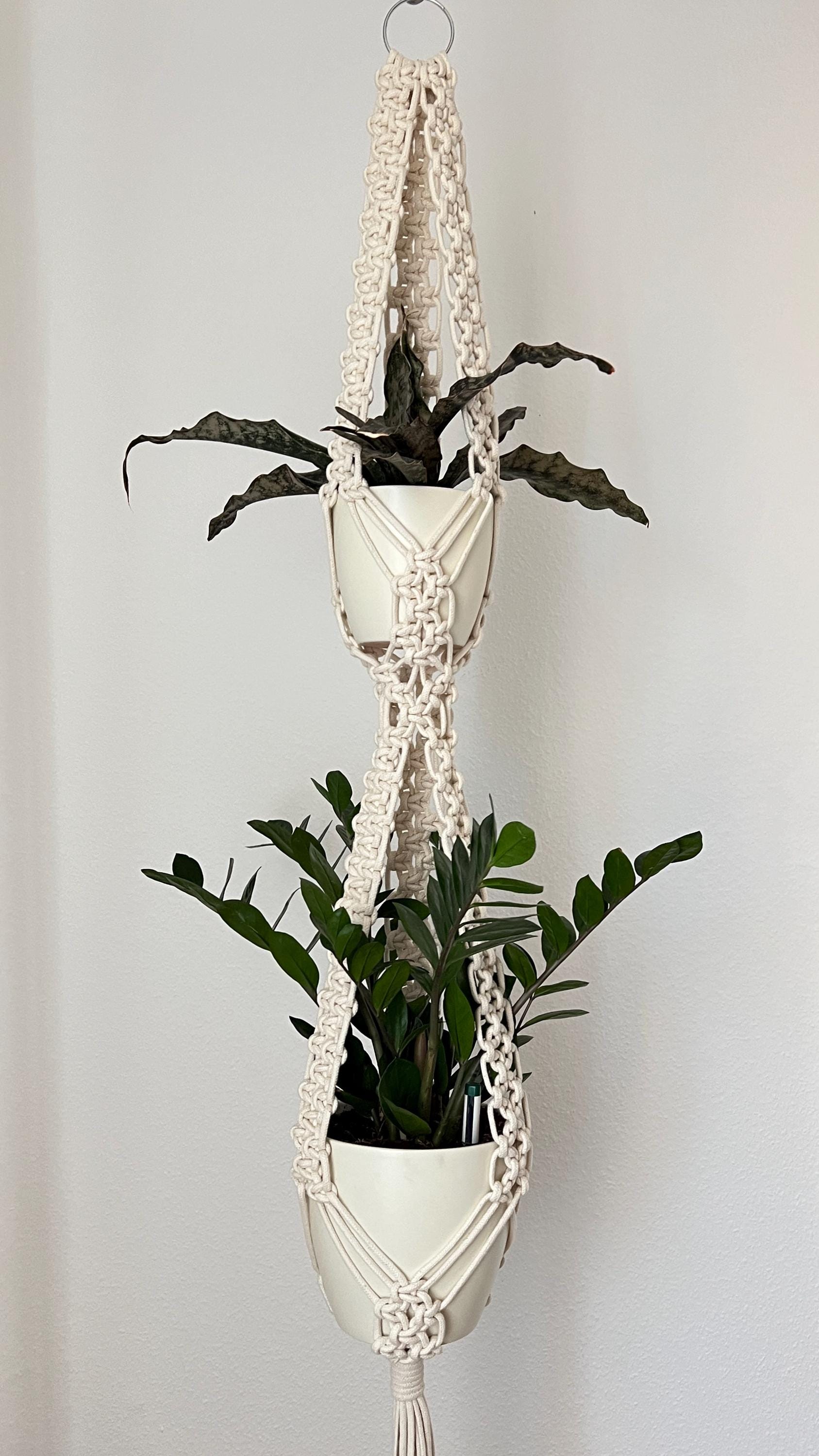 Double Macrame plant hanger with potted plants against a plain wall