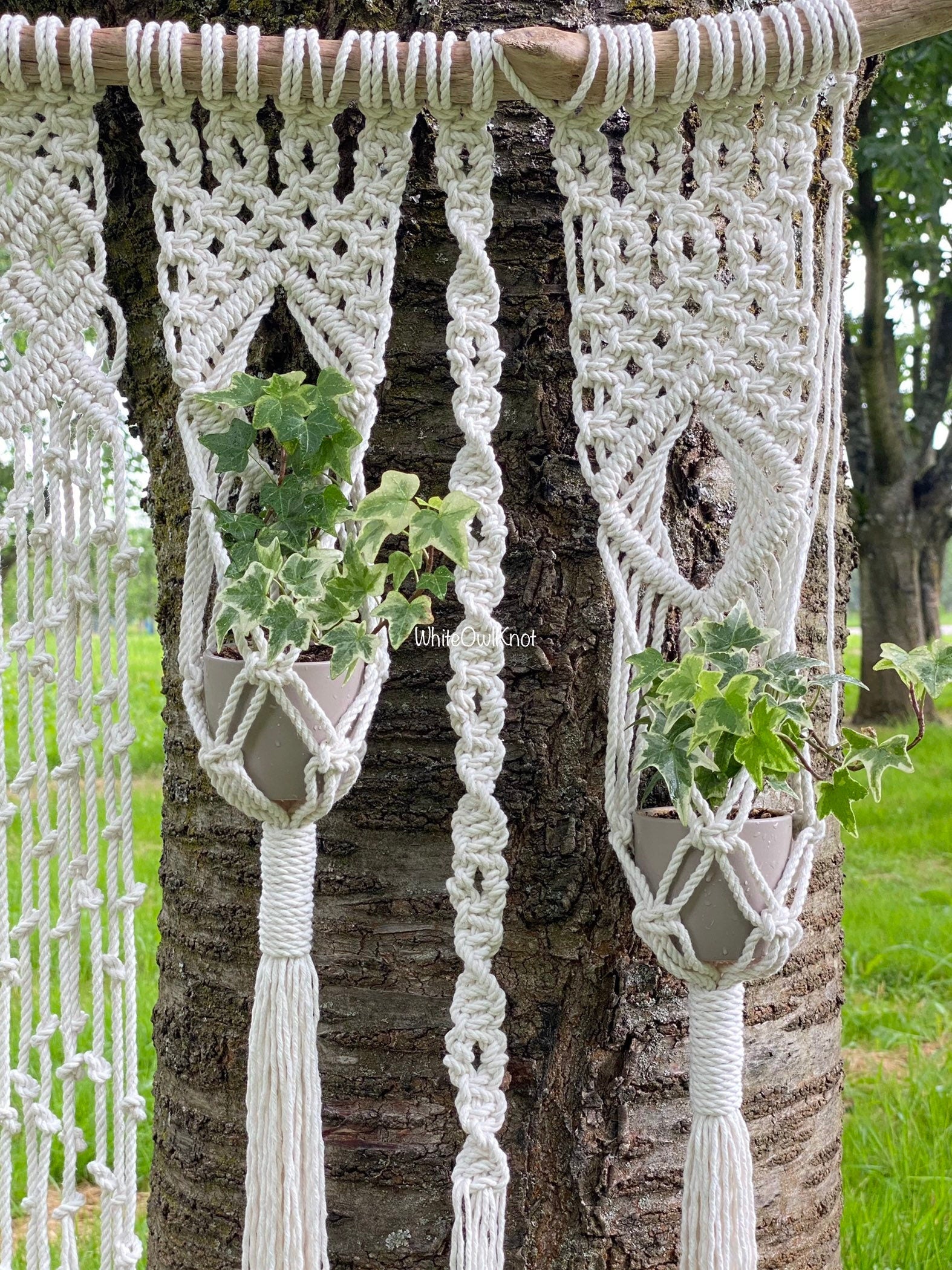 Macrame plant hangers with plants hanging from a tree branch outdoors.