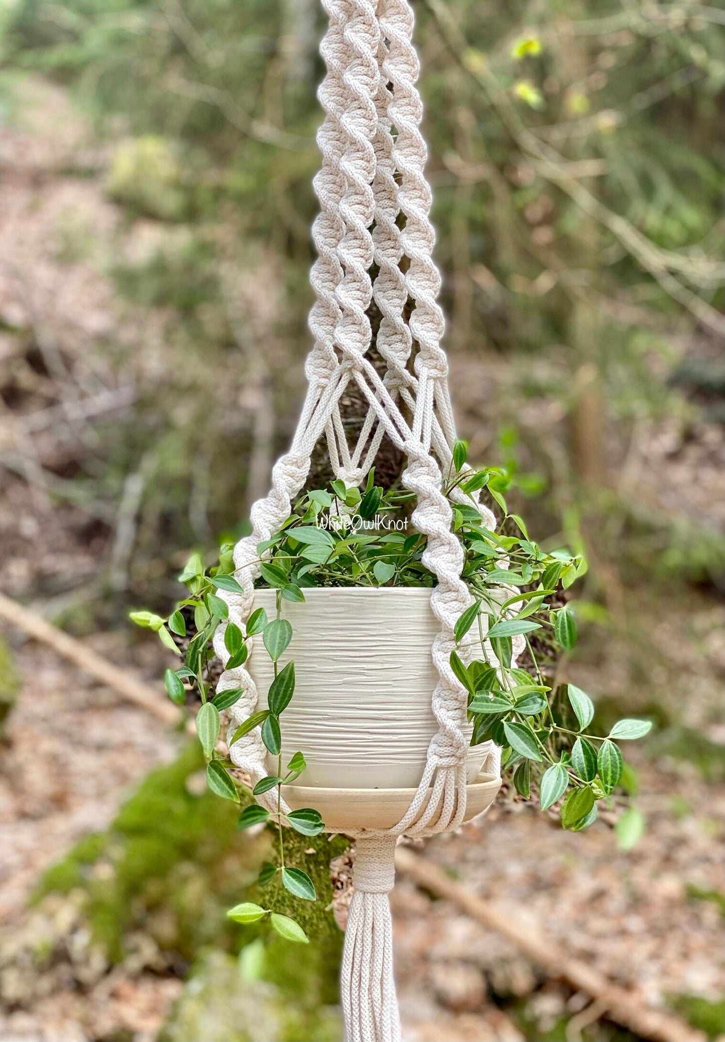 Macrame plant hanger with a green plant against a natural background