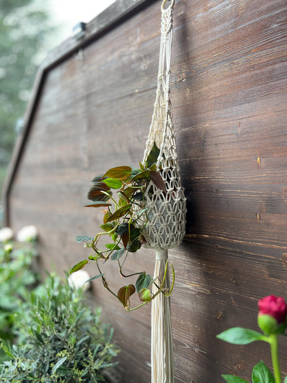 Nest Macramé Plant Hanger Pattern, DIY Instructions