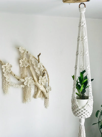 Macrame plant hanger with a plant against a white wall.