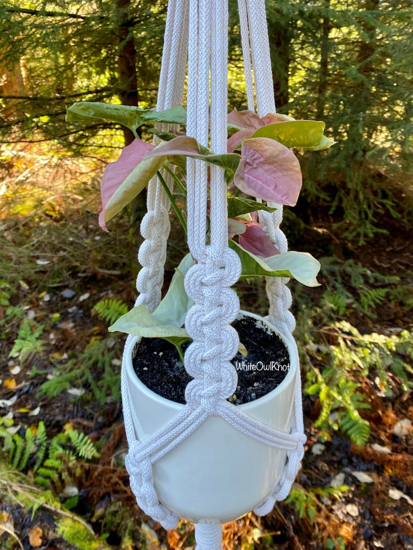 White macrame plant hanger with a potted plant against a natural background
