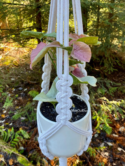 White macrame plant hanger with a potted plant against a natural background