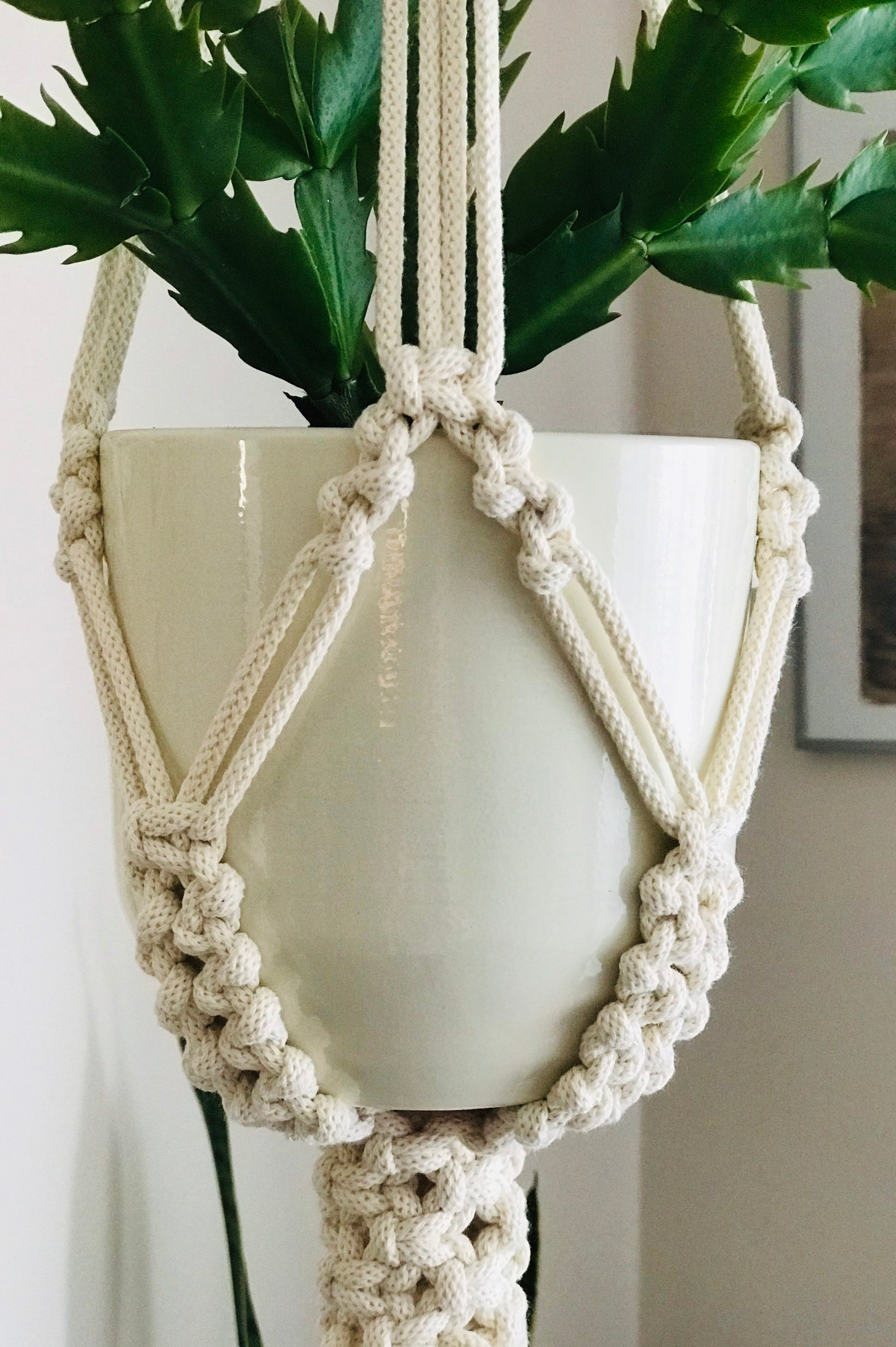 Macrame plant hanger with a white pot and green plant against a neutral background
