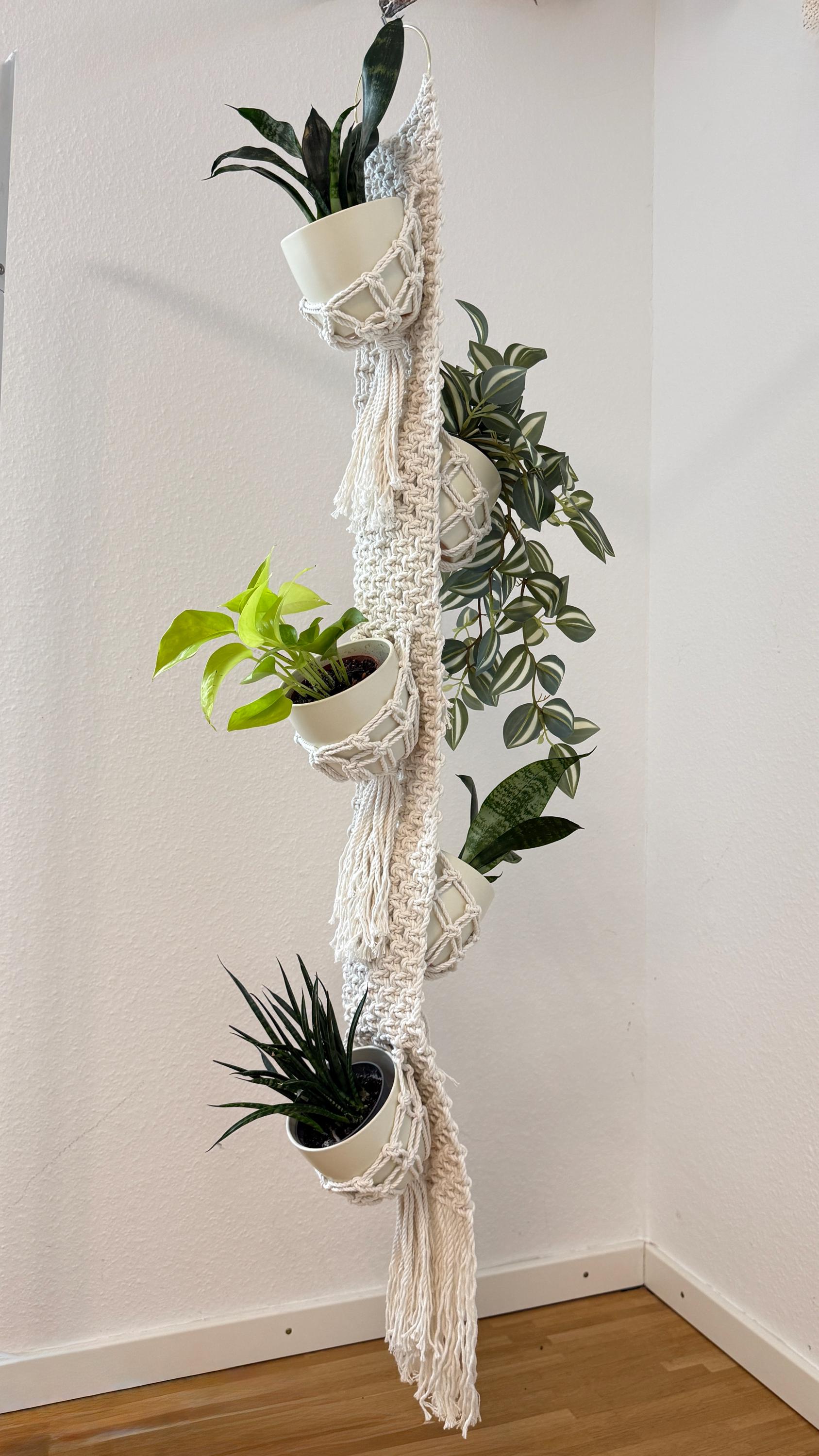 Macrame plant hanger with multiple potted plants against a white wall.