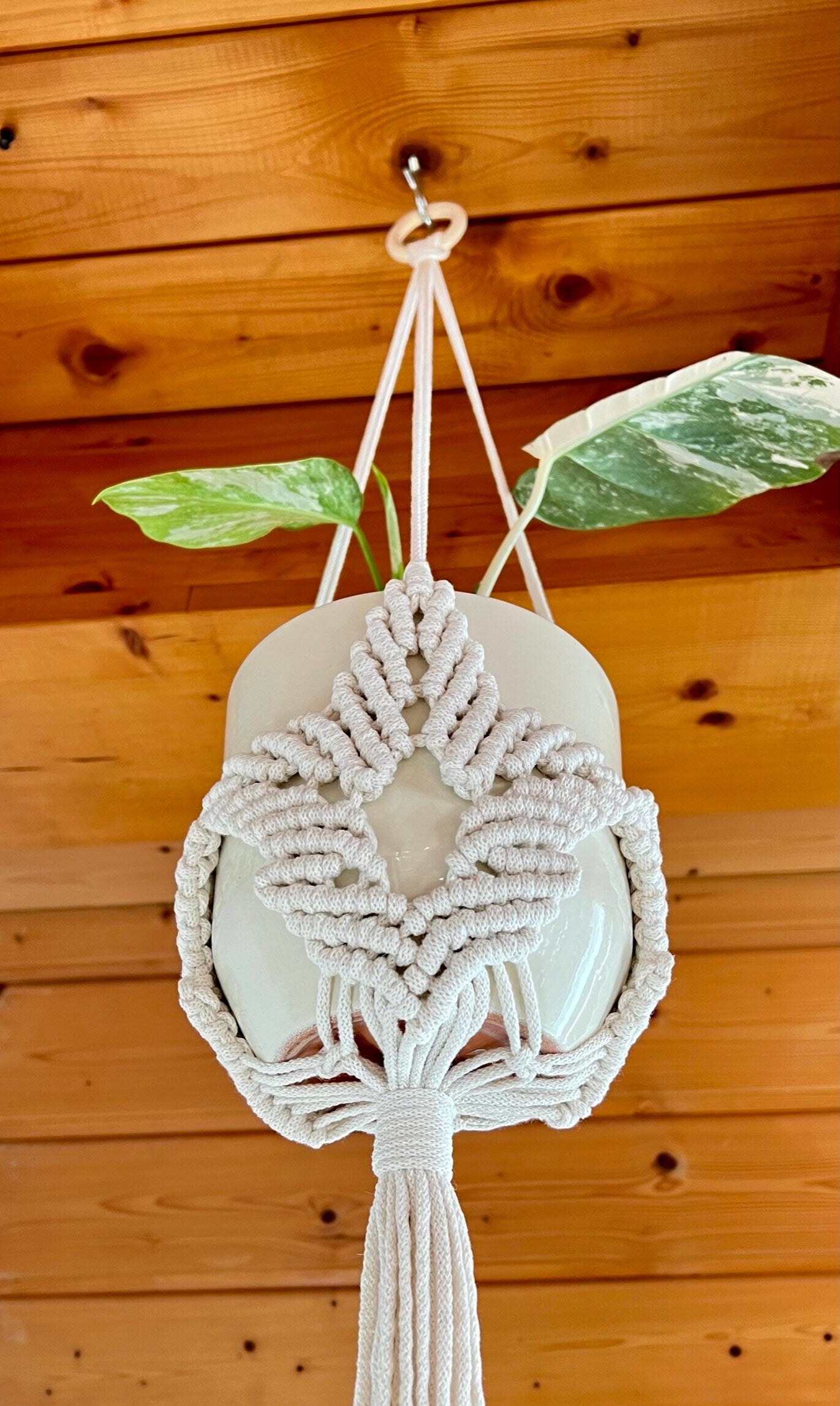 Macrame plant hanger with a plant against a wooden wall