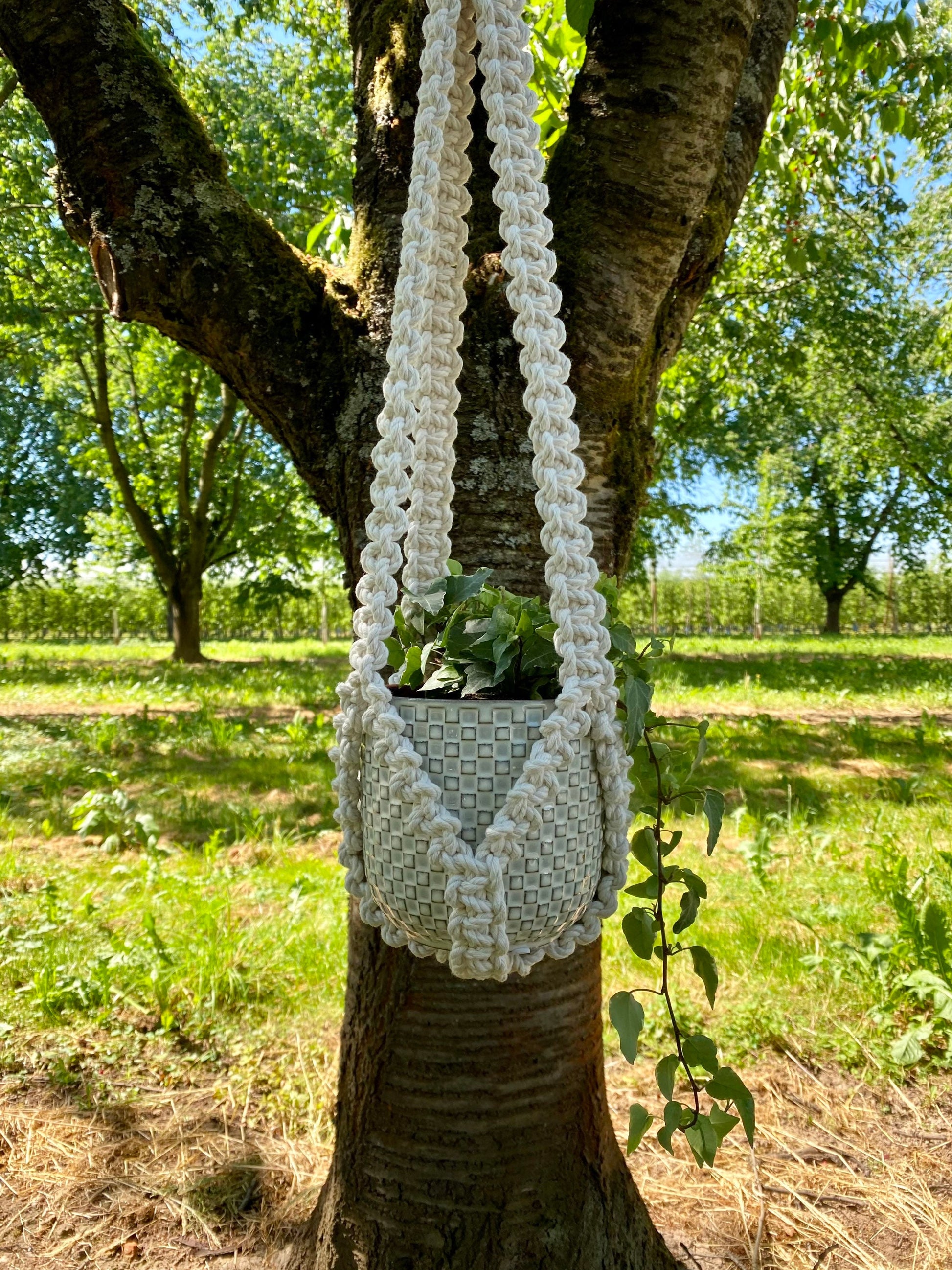White woven plant hanger hanging from a tree in an outdoor setting