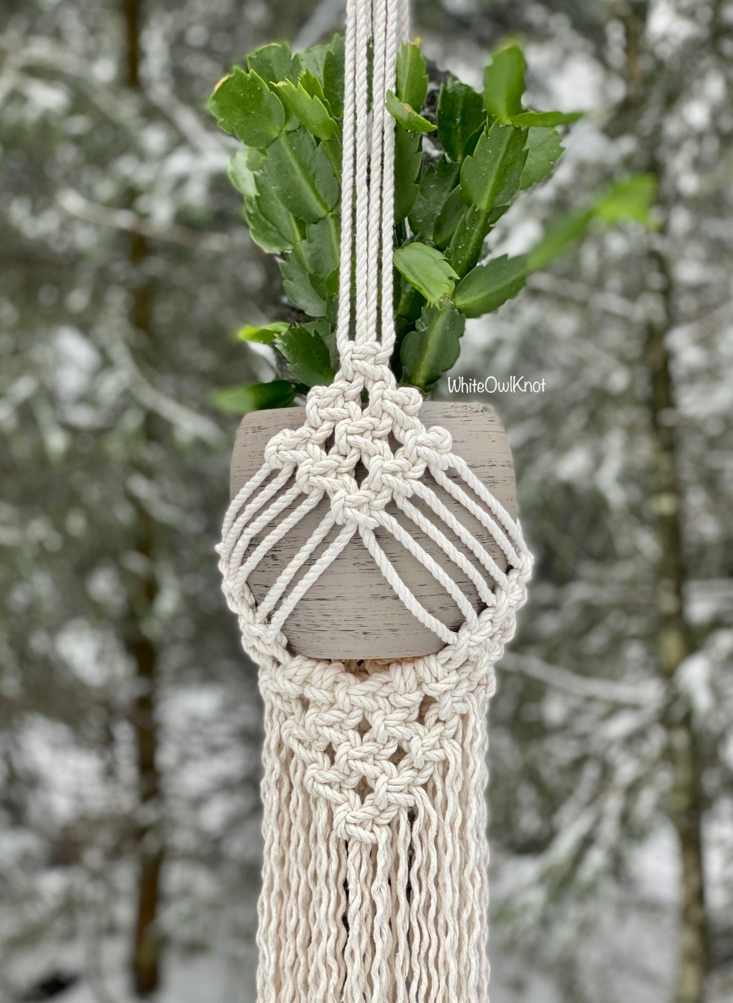 Macrame plant hanger with a plant against a blurred natural background
