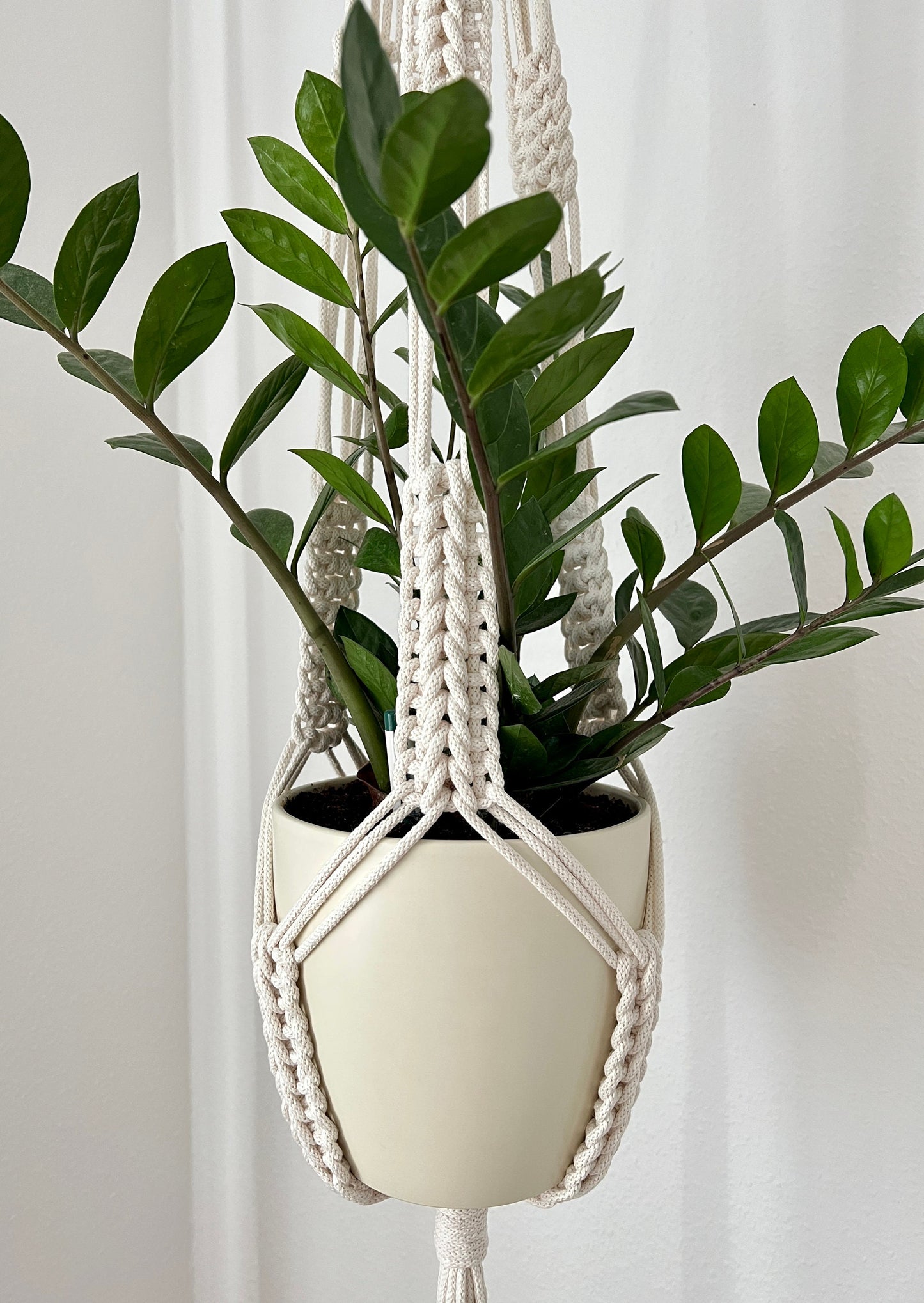 Macrame plant hanger with a potted plant on a neutral background
