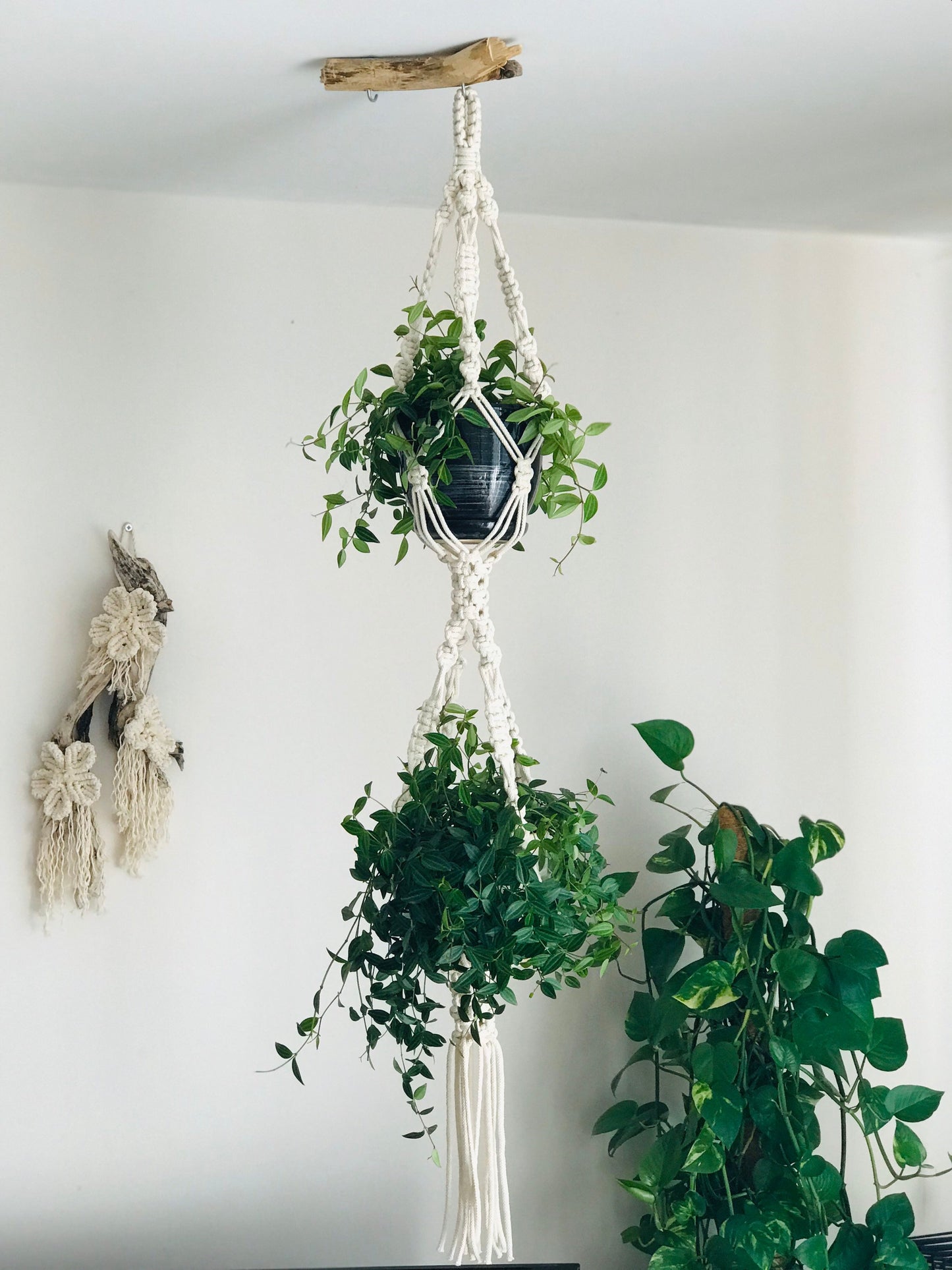 Macrame Plant Hangers Set of TWO PDF Patterns
