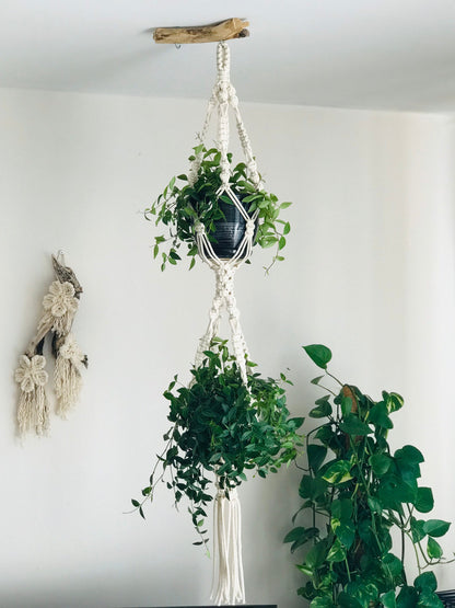 Macrame Plant Hangers Set of TWO PDF Patterns