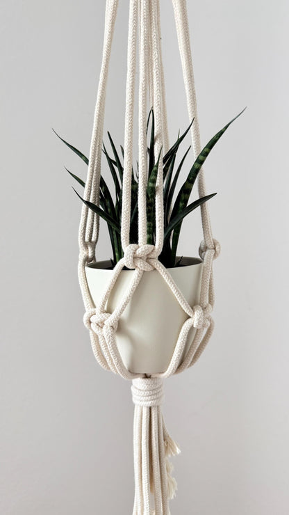 Macrame plant hanger with a potted plant on a plain background