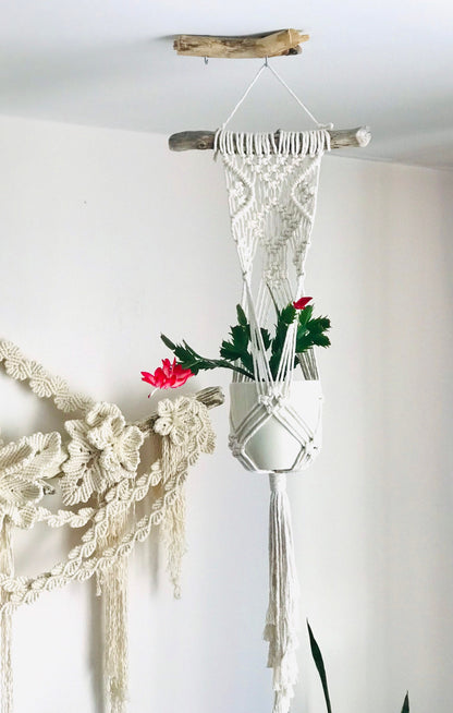 Macrame plant hanger with flowers against a white background