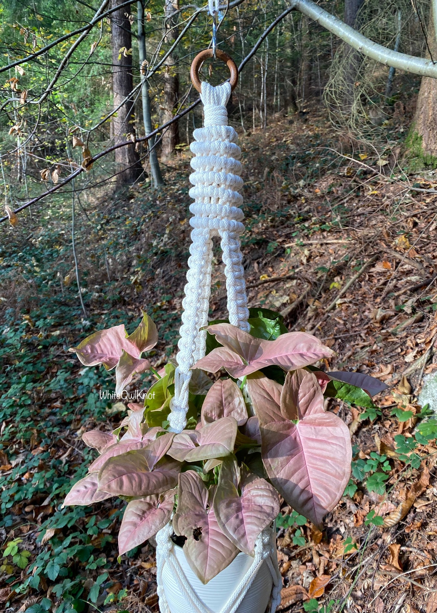 Macrame Plant Hanger PDF Pattern
