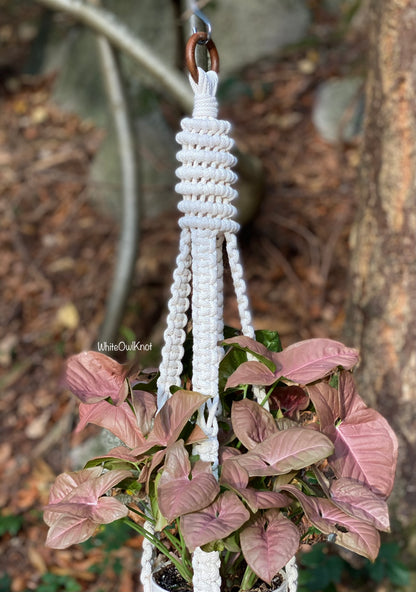 White macrame plant hanger with a pink leafed plant against a natural background