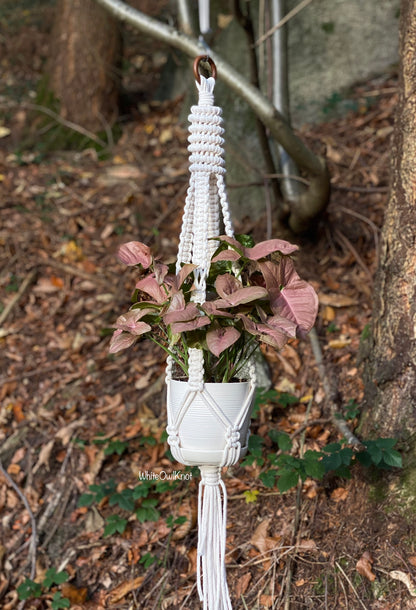 White macrame plant hanger with a small plant hanging from it, set against a natural outdoor background.