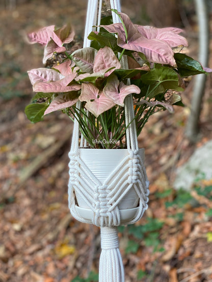 Macrame plant hanger with a pink leafed plant against a natural background