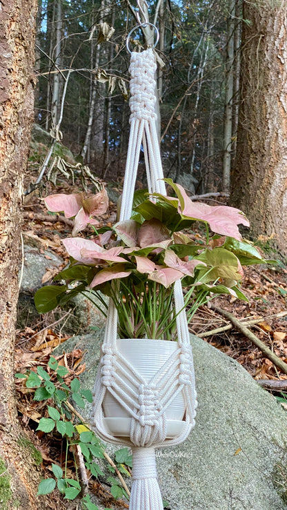 Macrame plant hanger with a plant in a forest setting