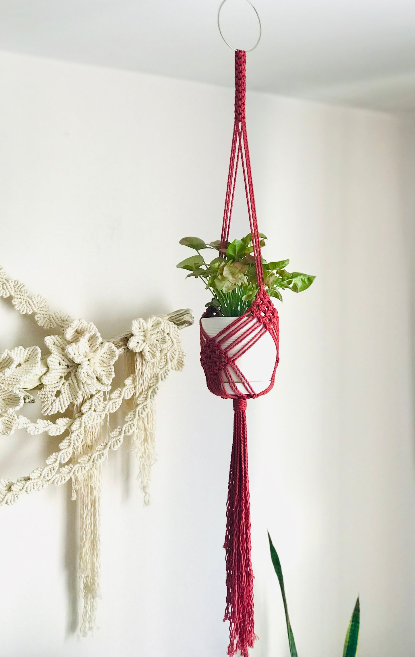 Macrame Plant Hanger Pattern, Step-by-Step Instructions