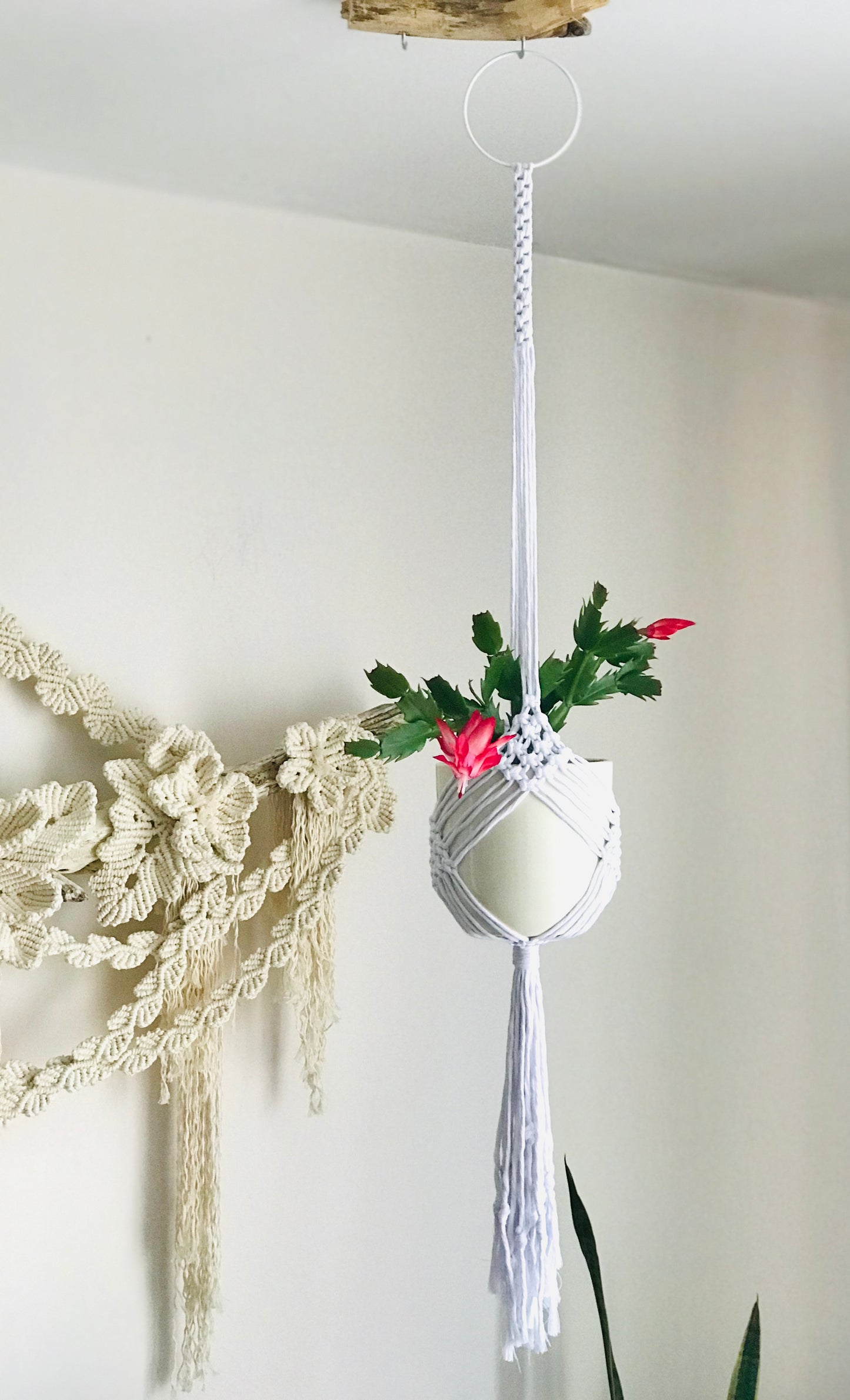 Macrame Plant Hanger Pattern, Step-by-Step Instructions