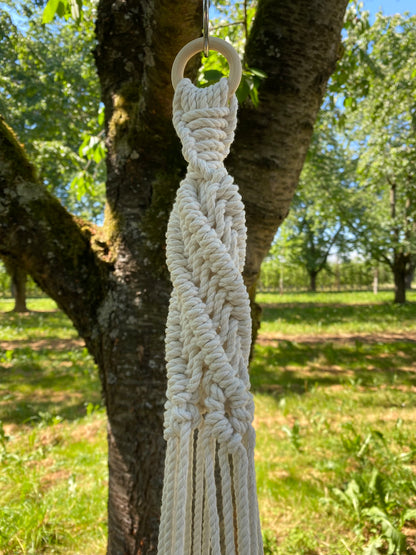 Macrame plant hanger hanging from a tree in an outdoor setting
