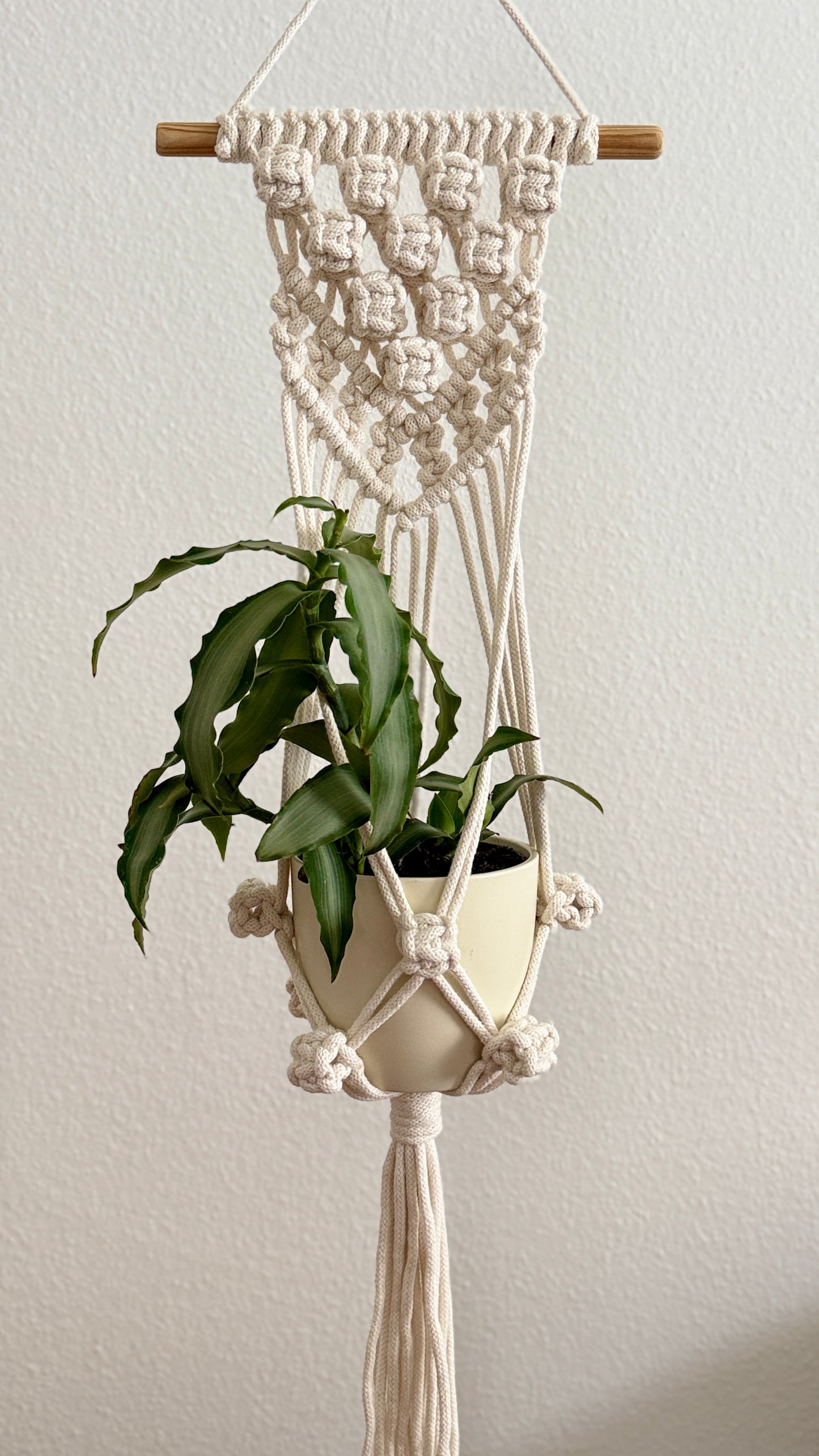 Macrame Plant Hanger PDF pattern