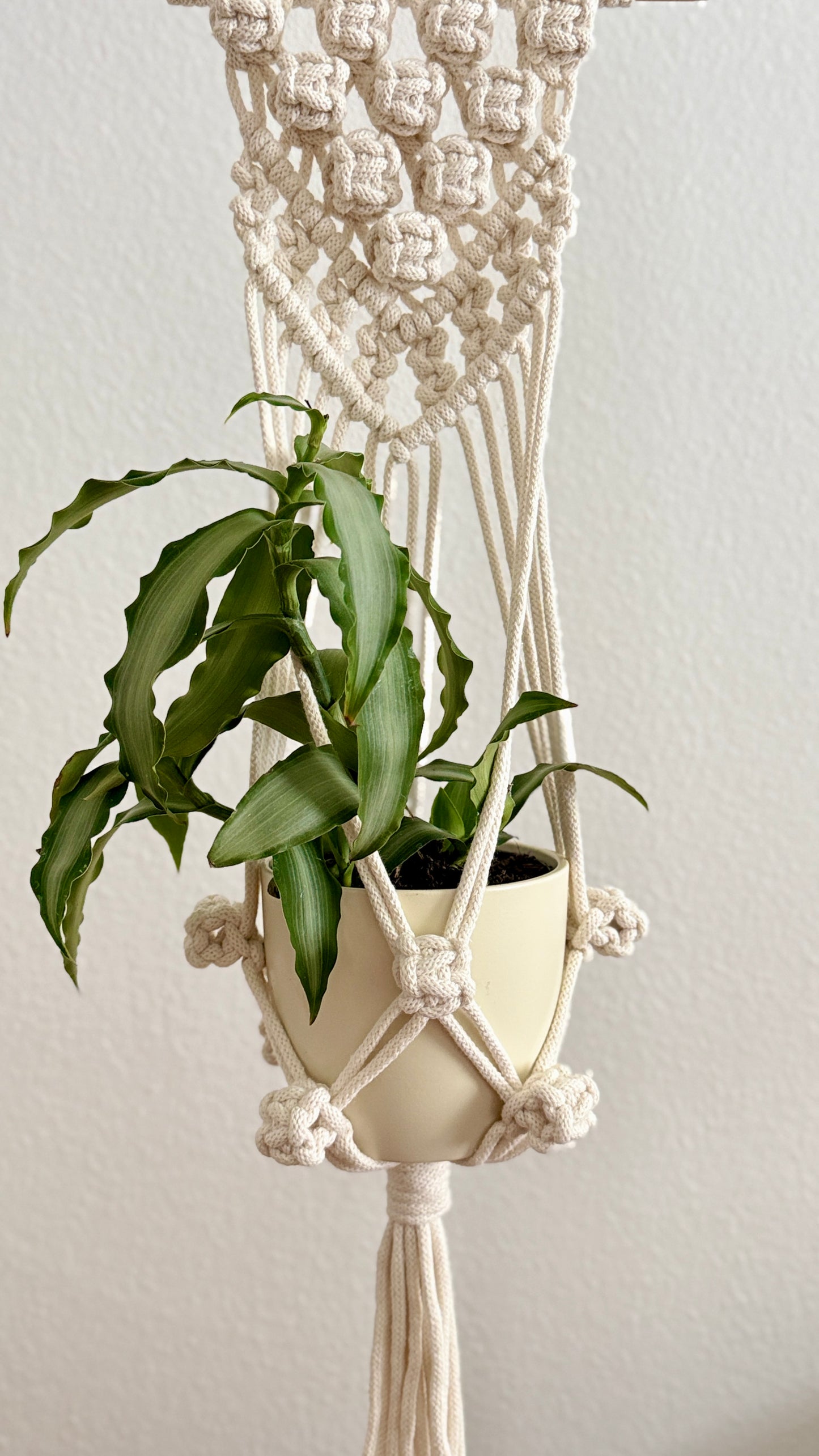 Macrame Plant Hanger PDF pattern