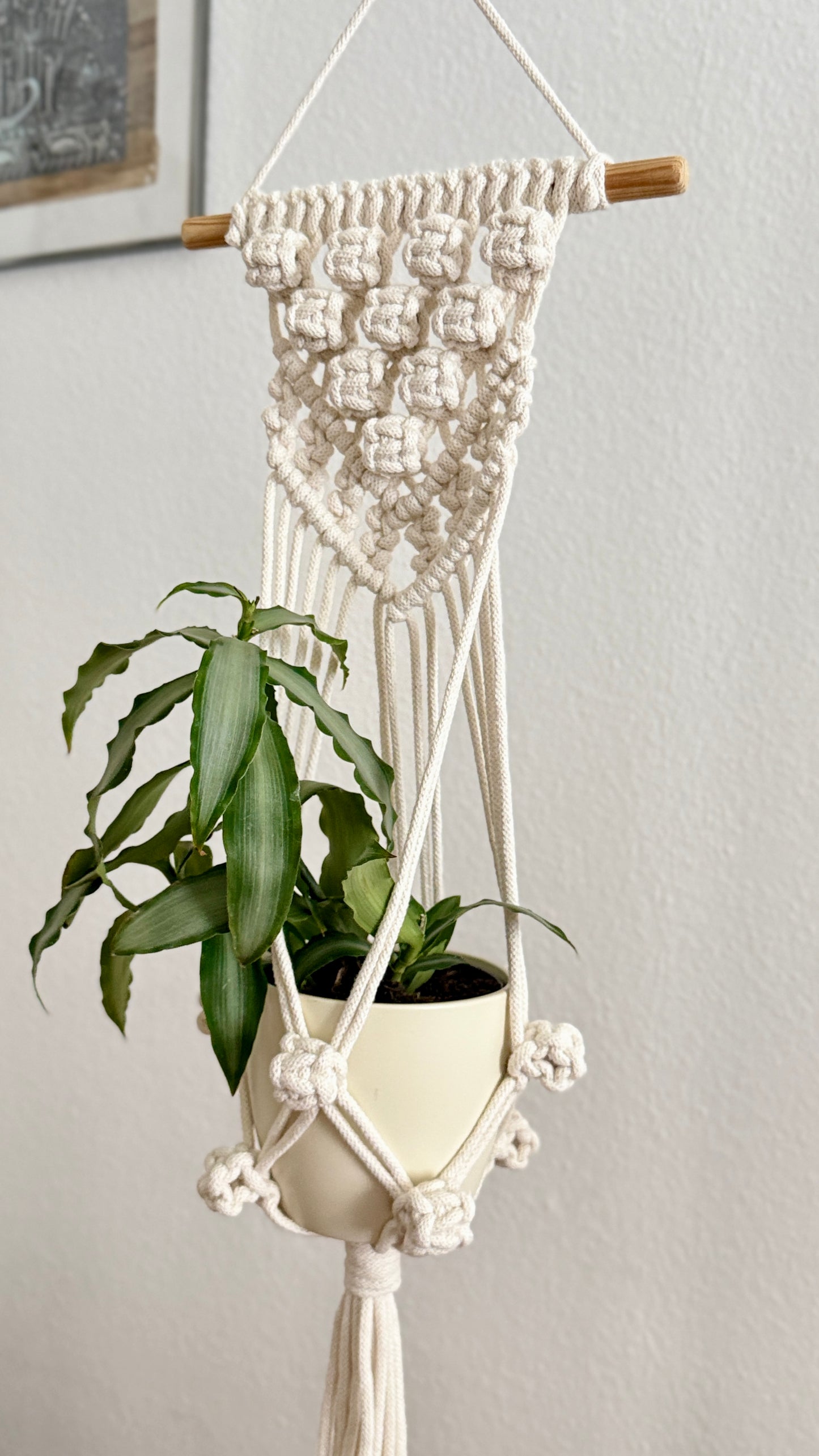 Macrame Plant Hanger PDF pattern