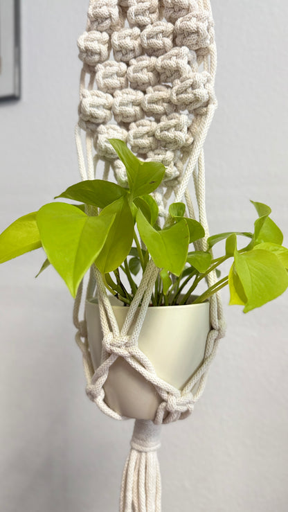 Macrame Plant Hanger PDF Pattern