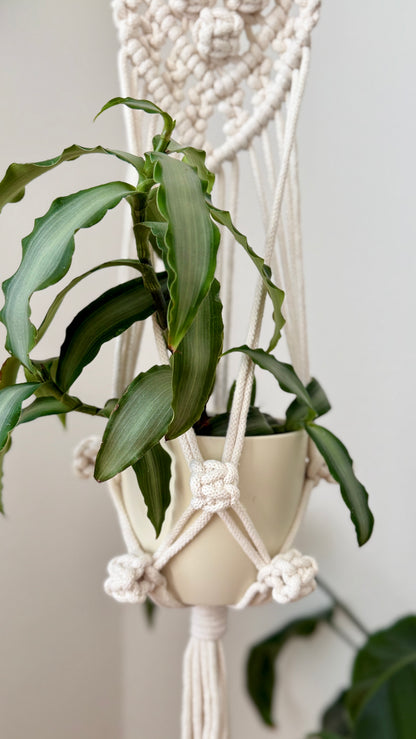 Macrame Plant Hanger PDF pattern