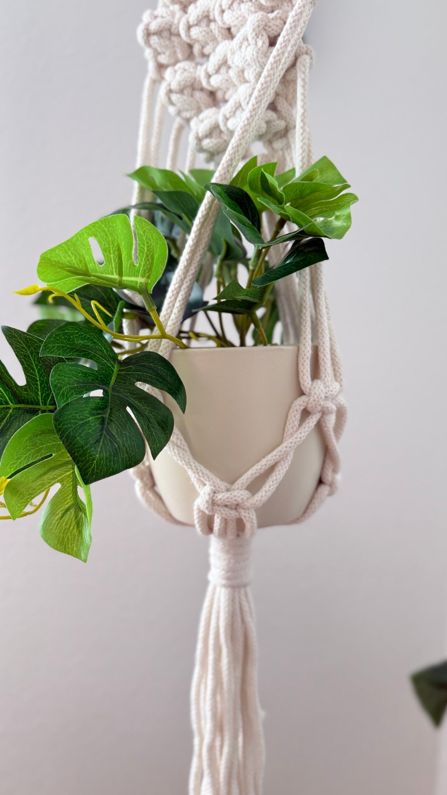 Macrame Plant Hanger PDF Pattern