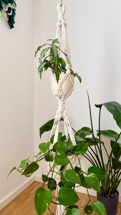 Double macrame plant hanger with a plants against a white wall