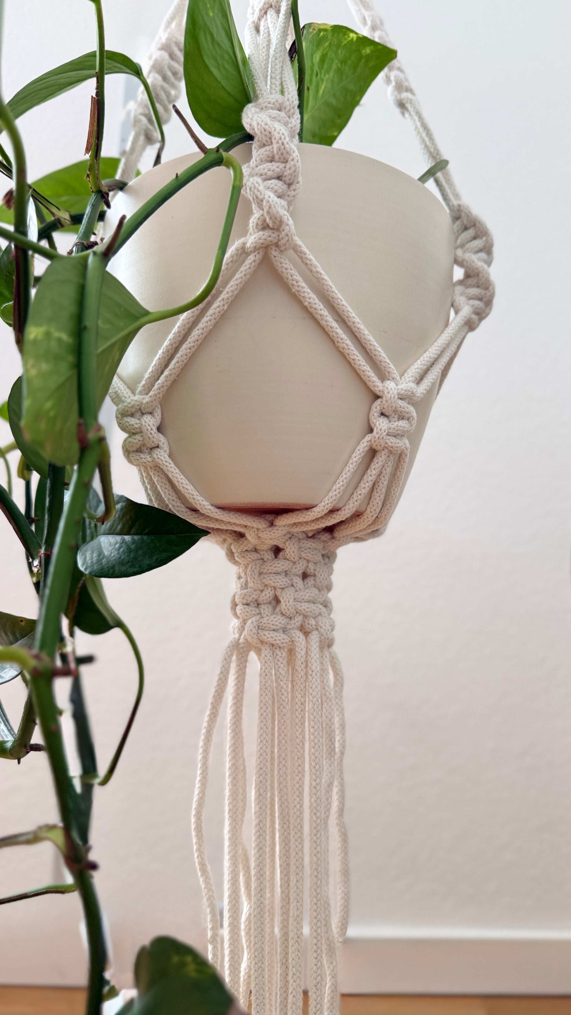 Macrame plant hanger with a pot of green plant against a white background