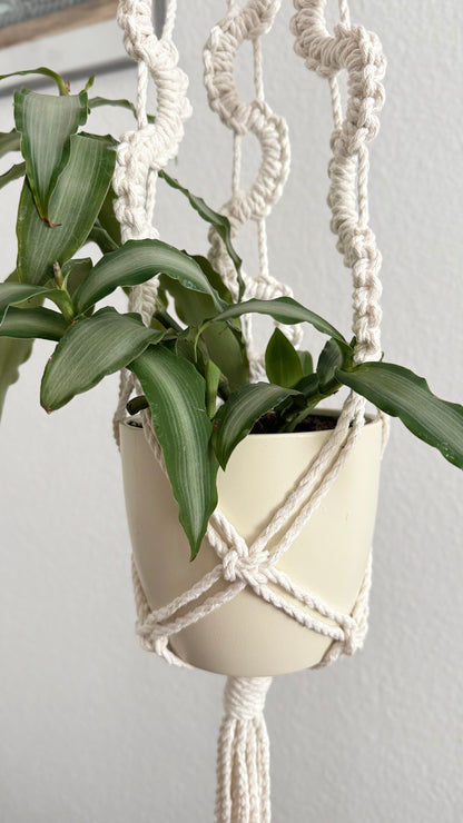 Macrame Plant Hanger PDF Pattern