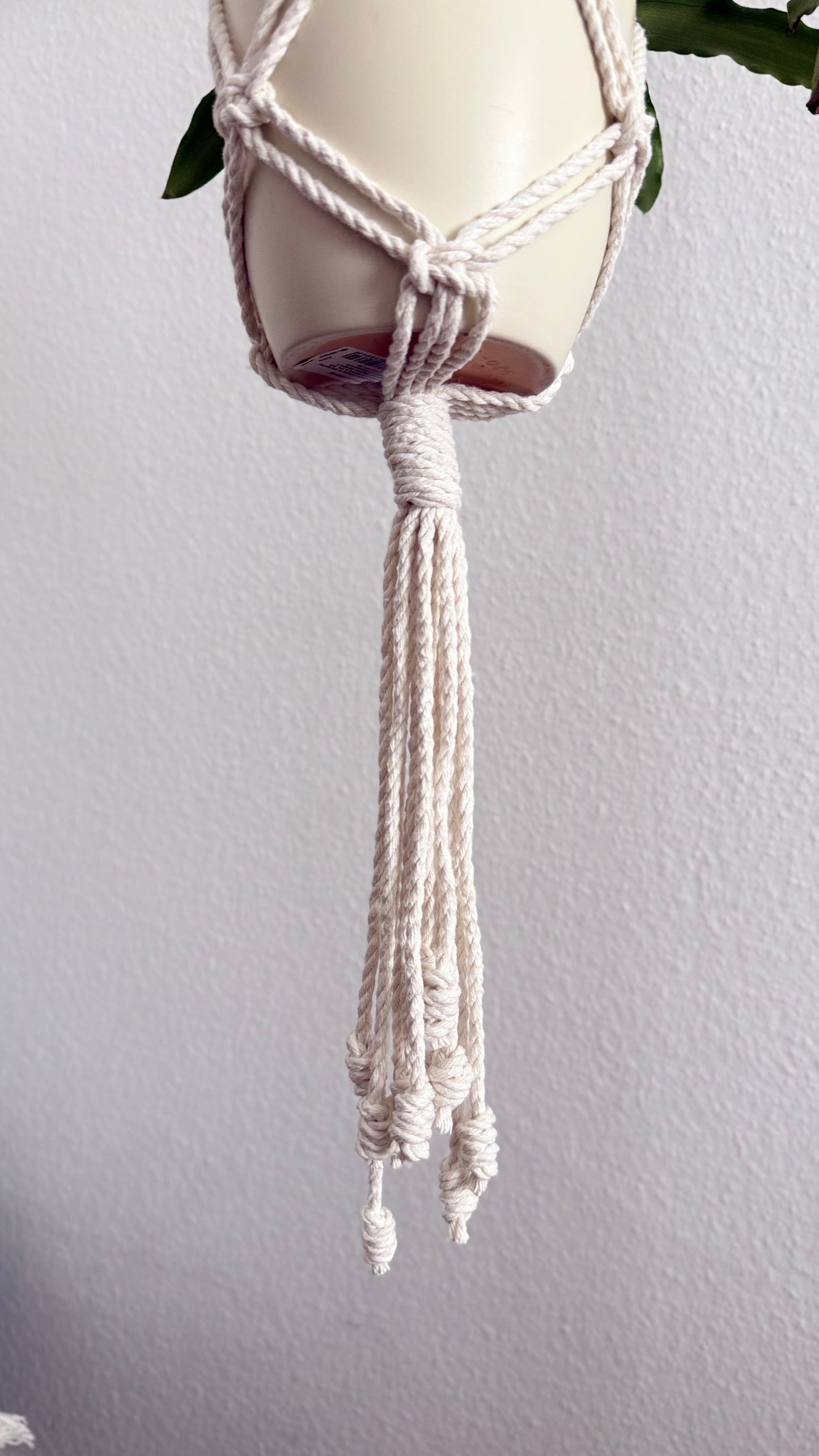 Macrame Plant Hanger PDF Pattern