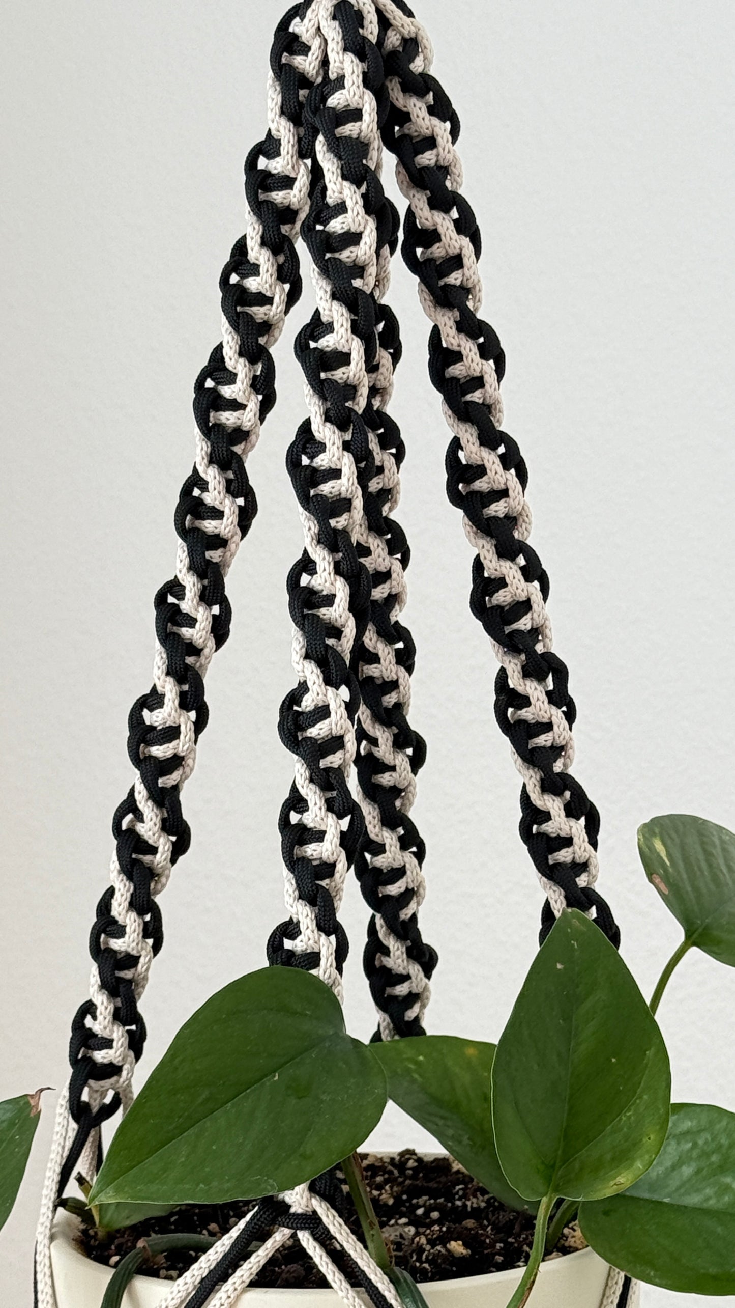 Macrame Plant Hanger Pattern PDF
