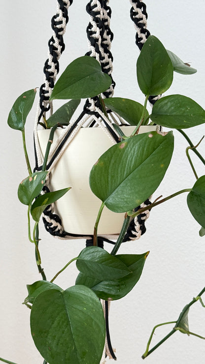 Macrame Plant Hanger Pattern PDF