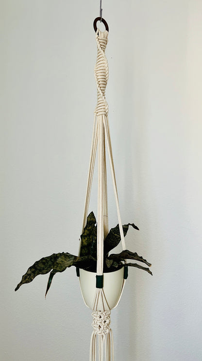 Macrame plant hanger with a plant against a plain background