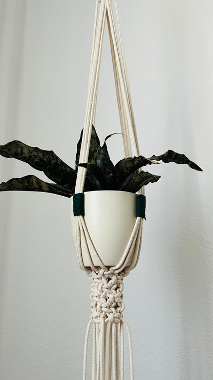 Macrame plant hanger with a white pot and dark leaves against a light gray background