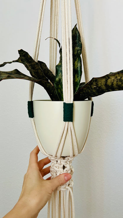 Hand holding a plant in a macrame hanger against a plain background