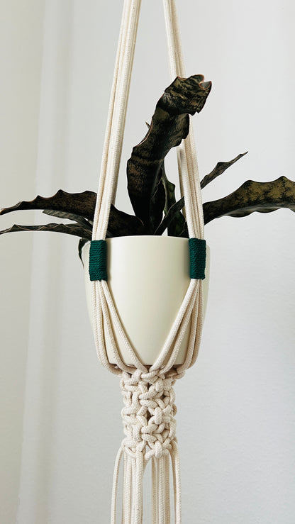 Macrame plant hanger with a white pot and dark plant against a light background