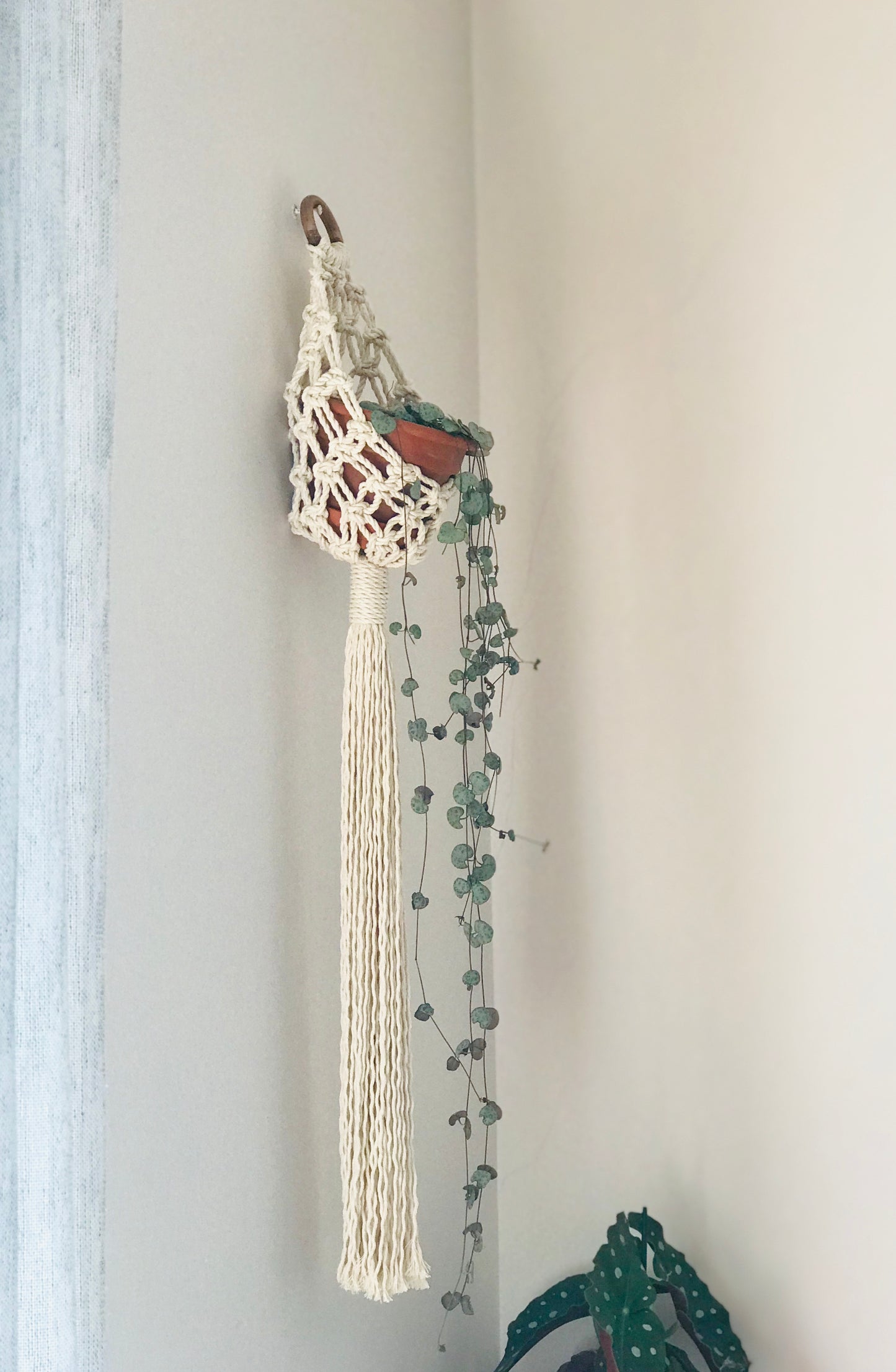 4 Makramee-Pflanzenampel DIY Anleitungen - Verwandeln Sie Terrasse und Balkon mit eklektischer Dekoration. Sofortige digitale Downloads. Geschenkidee für Pflanzenliebhaber