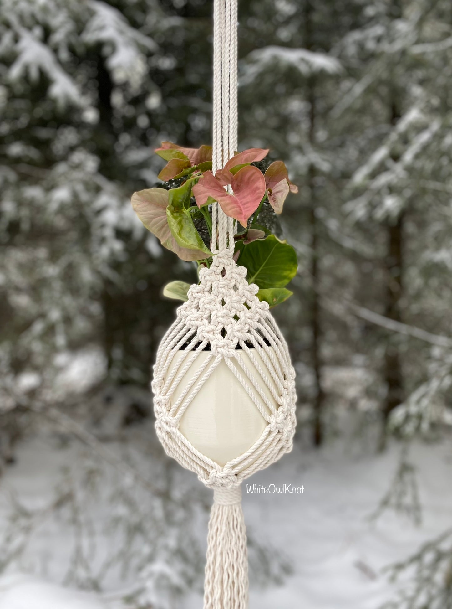 5 Macrame Plant Hangers DIY eBook, Set of 5 Patterns