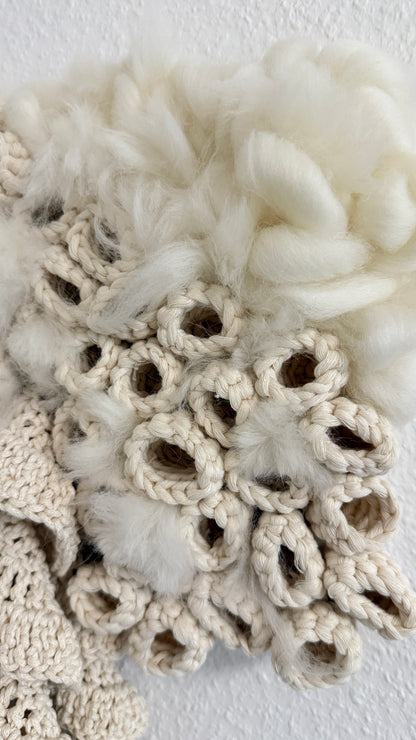 Close-up of textured white coral-like material on a white background