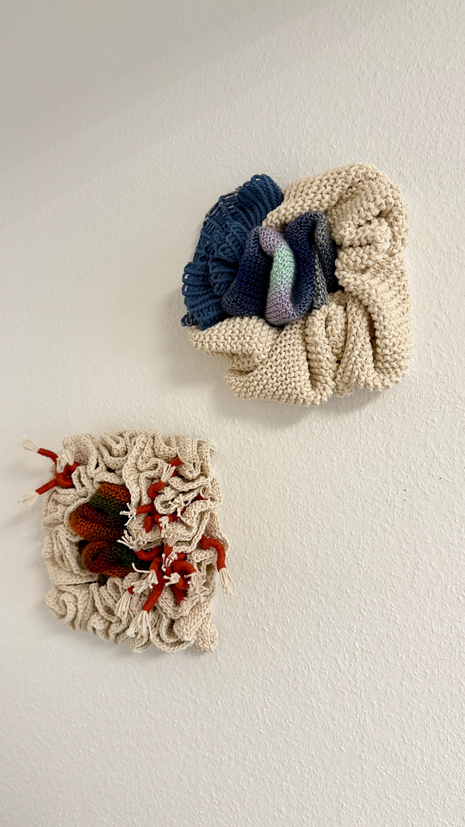 Two knitted or crocheted items on a white background
