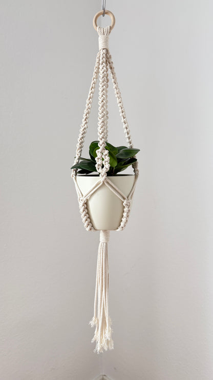 Macrame plant hanger with a pot of green plant on a plain background