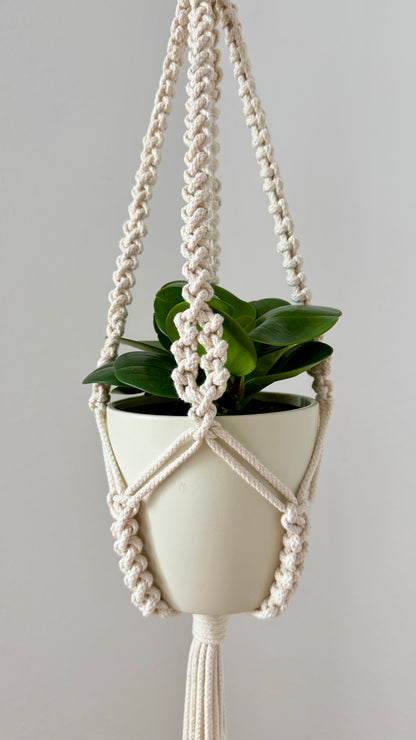 White planter with green plant hanging from a macrame plant holder against a gray background